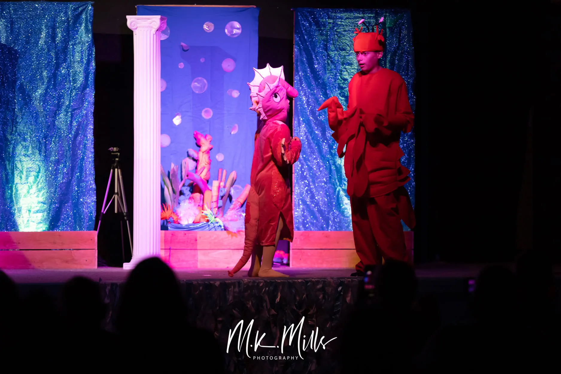 Little Mermaid 2021 — photo 29